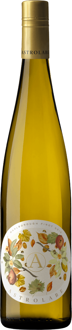 Astrolabe Marlborough Pinot Gris 2024 Marlborough — Marlborough